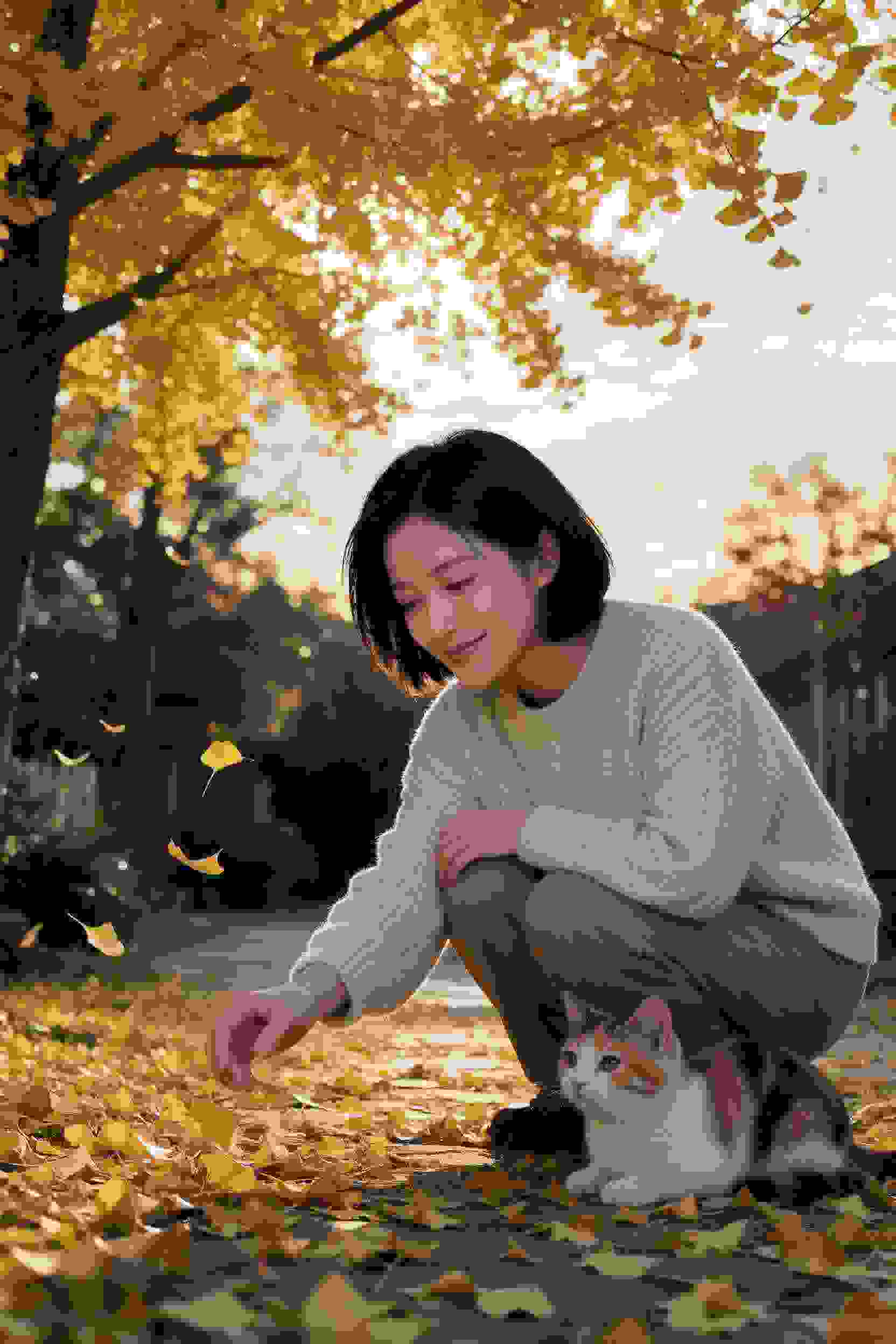 心之所向
